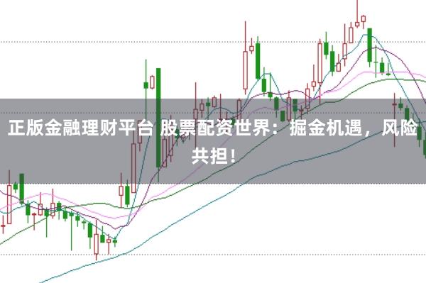 正版金融理财平台 股票配资世界：掘金机遇，风险共担！