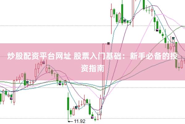 炒股配资平台网址 股票入门基础：新手必备的投资指南