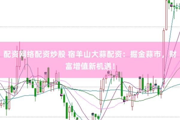 配资网络配资炒股 宿羊山大蒜配资：掘金蒜市，财富增值新机遇！