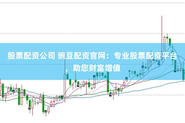 股票配资公司 豌豆配资官网：专业股票配资平台，助您财富增值