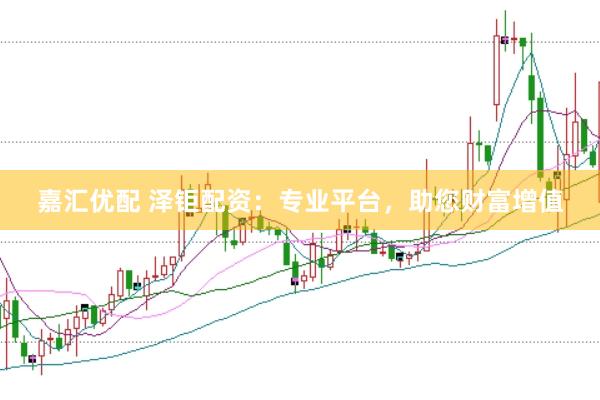 嘉汇优配 泽钜配资：专业平台，助您财富增值