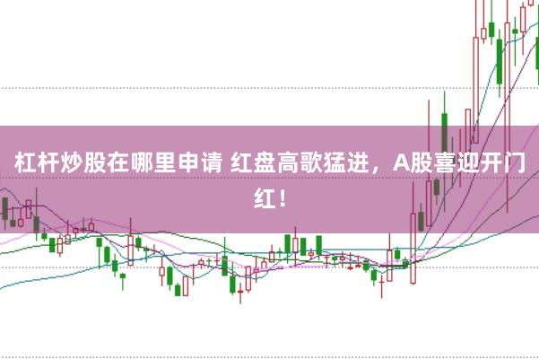 杠杆炒股在哪里申请 红盘高歌猛进，A股喜迎开门红！
