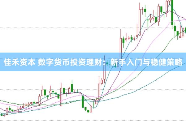 佳禾资本 数字货币投资理财：新手入门与稳健策略