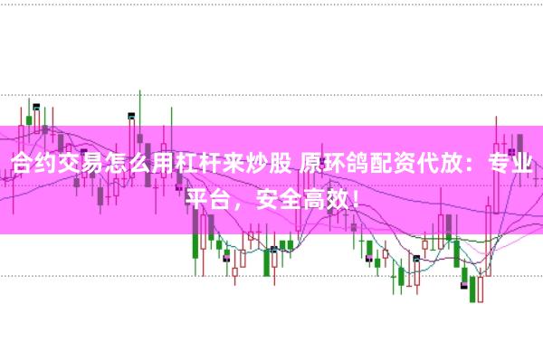 合约交易怎么用杠杆来炒股 原环鸽配资代放：专业平台，安全高效！