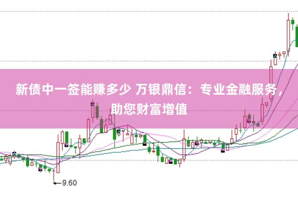 新债中一签能赚多少 万银鼎信：专业金融服务，助您财富增值