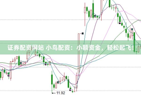 证券配资网站 小鸟配资：小额资金，轻松起飞！