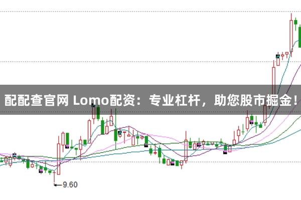 配配查官网 Lomo配资：专业杠杆，助您股市掘金！