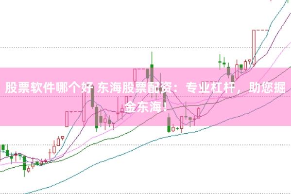 股票软件哪个好 东海股票配资：专业杠杆，助您掘金东海！