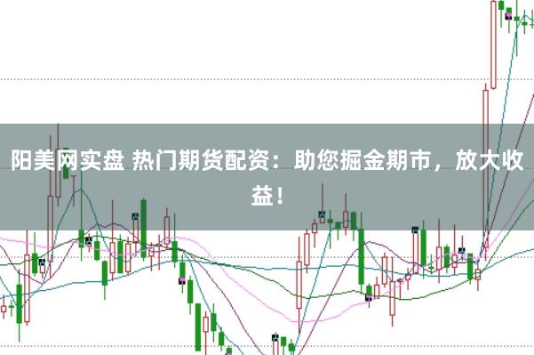 阳美网实盘 热门期货配资：助您掘金期市，放大收益！