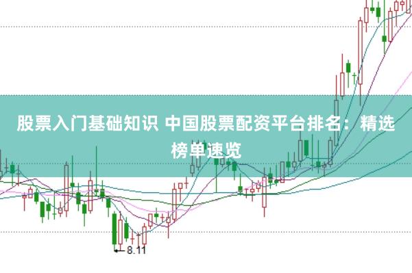 股票入门基础知识 中国股票配资平台排名：精选榜单速览