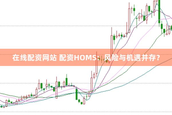在线配资网站 配资HOMS：风险与机遇并存？