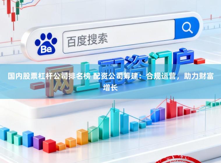国内股票杠杆公司排名榜 配资公司筹建：合规运营，助力财富增长