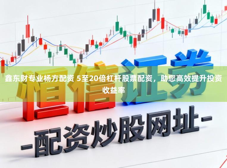鑫东财专业杨方配资 5至20倍杠杆股票配资，助您高效提升投资收益率
